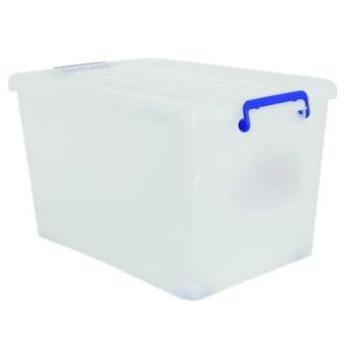MSV Caja DE ORDENACION 50L, 55.5x39x3 cm