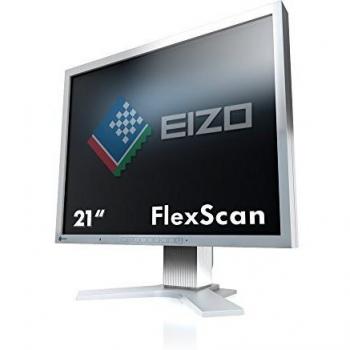 Eizo S2133-GY - Monitor de 21 1600 x 1200, Color Gris