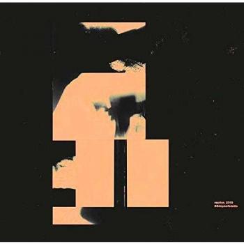 Replicr, 2019 [Vinilo]
