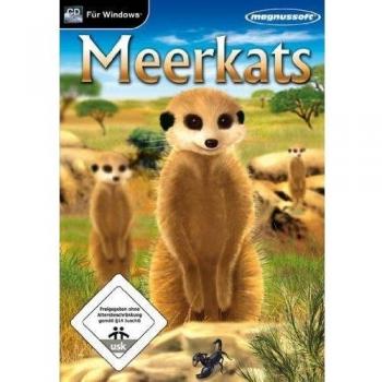 Meerkats