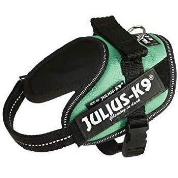 JULIUS-K9 16IDC Power Harness