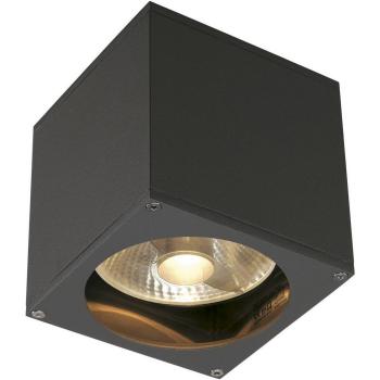 Aplique de exterior SLV Big Theo, 1 luz, antracita