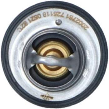 Termostato refrigerante EASY FIT NRF 725118