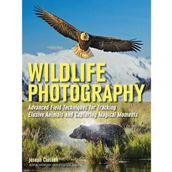 Wildlife Photography : Advanced Field Techniques for Tracking Elusive Animals and Capturing Magical Moments