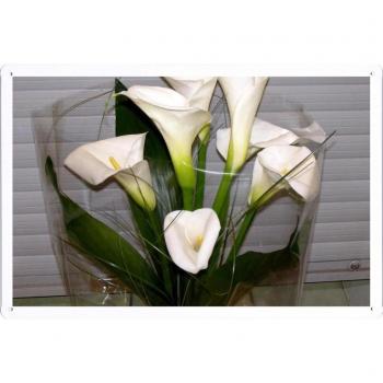 Metal cartel Cartel de chapa Hojalata sesión Flower Tin Sign Calla Lilies Flowers White Flower Packaging 40825 Retro Vintage Pared Decoración by hamgaacaan