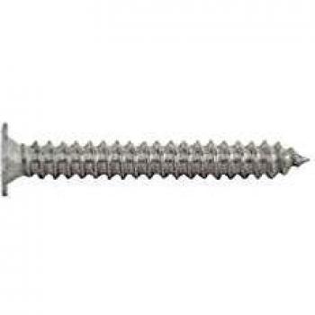 INDEX Fixing Systems CP B - Pack de 500 tornillos rosca chapa con cabeza extraplana y huella Phillips