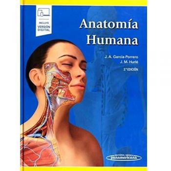 Anatomía humana