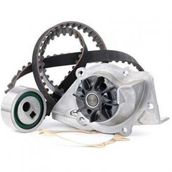 Ina 530 0258 30 Refrigerantes del Motor