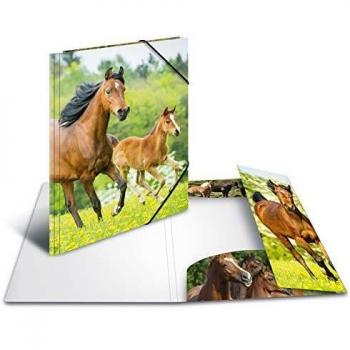Carpeta Esquinera A4 de PP con Gomas - Caballos