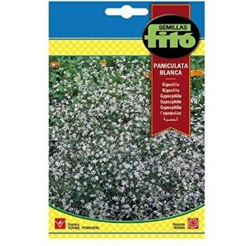 Semillas Fitó 557 - Semillas de Gipsófila Paniculata Blanca