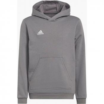 Sudadera Niño Adidas Ent22 Hoody Gris