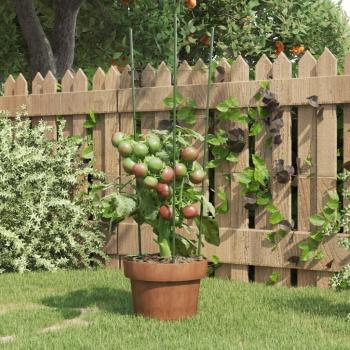 Soportes para plantas de jardín con 3 anillos, 5 piezas, color verde, altura de 60 cm, material acero