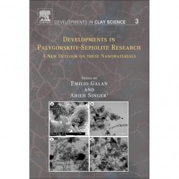 Developments in Palygorskite-Sepiolite Research: A New Outlook on These Nanomaterials