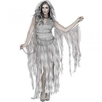 Fun World Enchanted Ghost Adult Costume Small/Medium