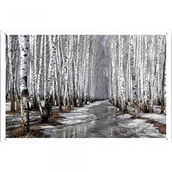 Metal cartel Cartel de chapa Hojalata sesión #26263 Frozen Forest Stream Retro Vintage Pared Decoración by hamgaacaan