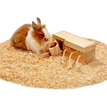 Karlie Pet Intelligence Toy