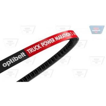 Correa Poly V Optibelt AVX 13 x 1450 TM