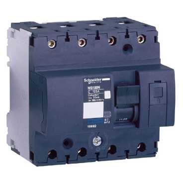 Imagen Principal