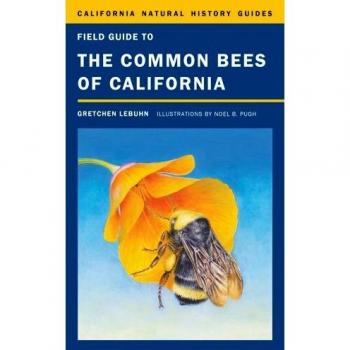 Field Guide to the Common Bees of California: Including Bees of the Western United States: 107