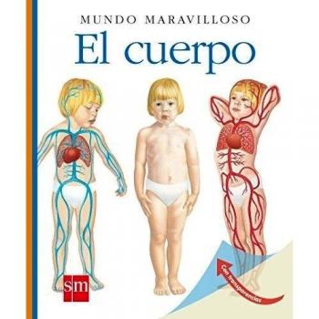 El cuerpo