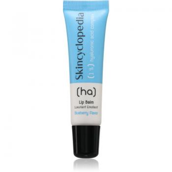 Skincyclopedia 1% Hyaluronic Acid Complex Lip Balm 10 ml