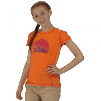Regatta Great Outdoors - Camiseta de manga corta modelo Motion para niños