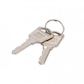 Llave de Seguridad para Armarios de Carga y Servidores Digitus DN-45000-KEY