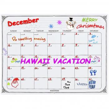 Newcomdigi Pizarra Magnética para Nevera con 3 Rotulador Pizarra de Planificación con Calendario Mensual para Frigorífico Pizarra Imán 30 x 40cm para Notas y Planificación Mensual