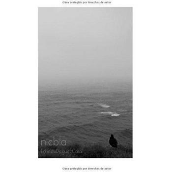 niebla: textos de 2015