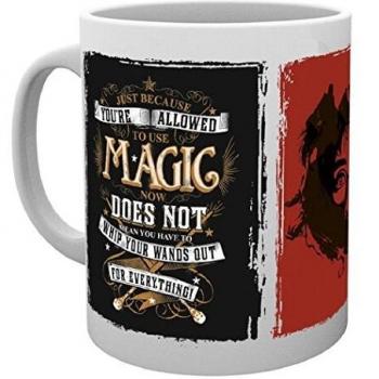 Harry Potter Taza Whip Your Wand Out