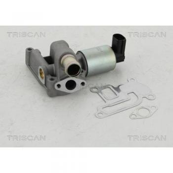 Válvula EGR TRISCAN 8813 24003