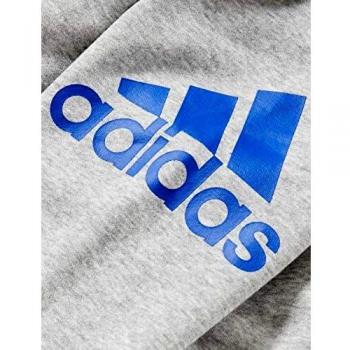 adidas Yb Mh Bos FZ FL Sudadera, Unisex niños, brgrin/Reauni, 140