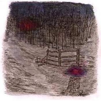 Farewell Forest