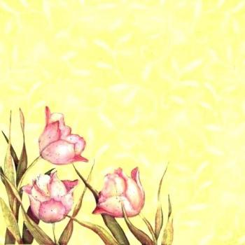 Spring Blossom Collection 12 x 12 cm, tulipanes, plano, papel, multicolor, color