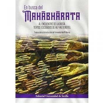 EN BUSCA DEL MAHABHARATA: Al encuentro de la diosa. Textos escogidos de Alf Hiltebitel: 313