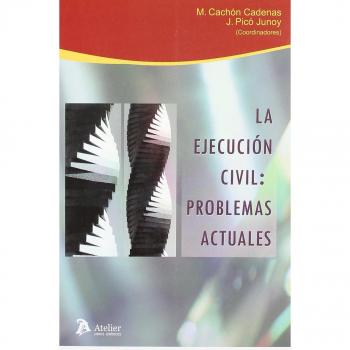 Ejecucion civil: problemas actuales.
