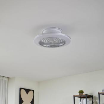 Ventilador de Techo LED Mamuti, Plata, Silencioso, Ø 55 cm