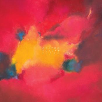 Future Flesh (Vinyl LP) - High-Quality Vinyl Record