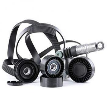 Ina 529 0209 10 Correas de Distribución