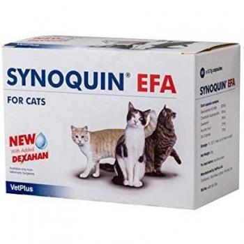 VetPlus Synoquin EFA Nutritional Supplement for Cats Articular Health, 90 Capsules