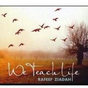 We Teach Life - Comprehensive Educational Resource for Personal Development