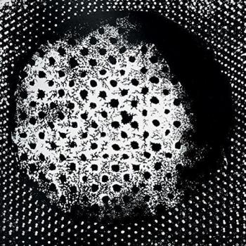 Biosphere Patashnik 2016 Norwegian Reissue 2-LP Vinyl Set BIO4LP