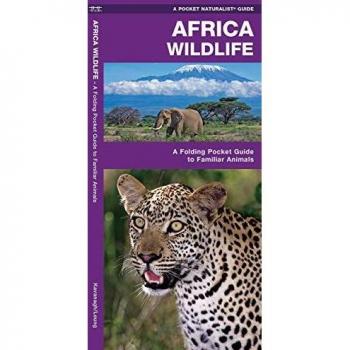 African Wildlife: A Folding Pocket Guide to Common Species