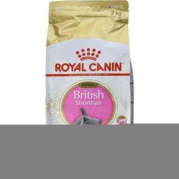 Royal Canin British Shorthair Kitten Dry Cat Food, 2 kg