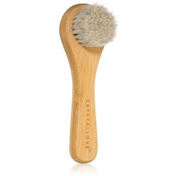 Crystallove Unisex Bamboo Face Brush & Jade Roller Set - 1 Piece Skin Cleansing Tool