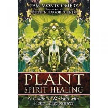 Plant Spirit Healing: A Guide to Working with Plant Consciousness