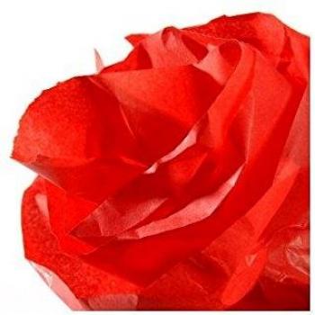 Rollo 50x500 cm, Canson Seda 20g, Rojo