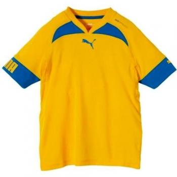 PUMA Trikot Evospeed Statement Indoor Shirt - Camiseta de equipación de balonmano para niña, color amarillo, talla 15 años