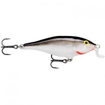Shallow Freshwater Rap Shad