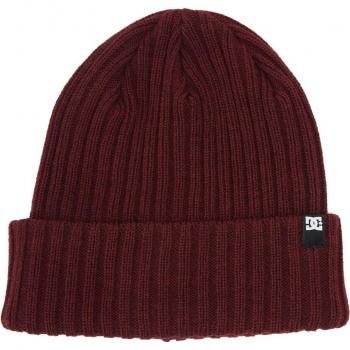 Gorro de hombre Fish N Destroy 2 DC Shoes